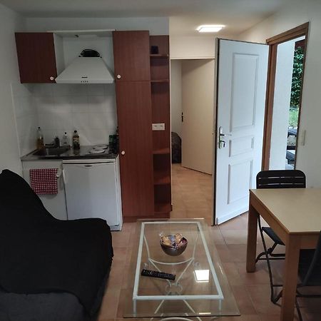 Deux Pieces Avec Grande Terrasse Au Calme Διαμέρισμα Saint-Martin-Vésubie Εξωτερικό φωτογραφία