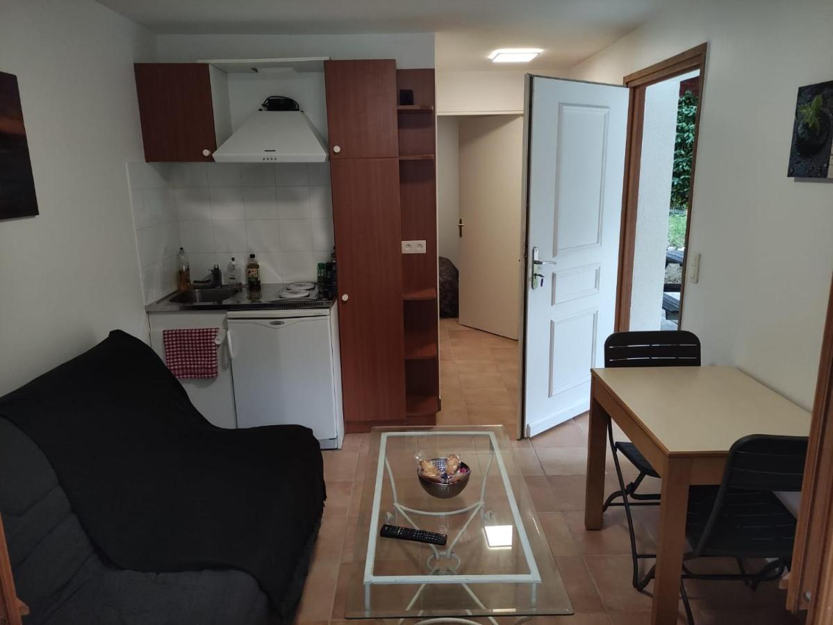 Deux Pieces Avec Grande Terrasse Au Calme Διαμέρισμα Saint-Martin-Vésubie Εξωτερικό φωτογραφία